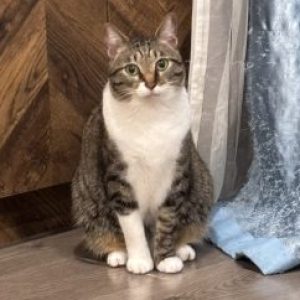 Profile photo of ddh090101