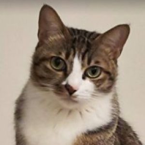 Profile photo of CraigYo