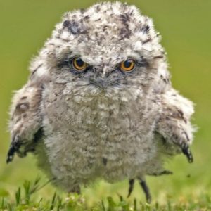 Profile photo of killer1113