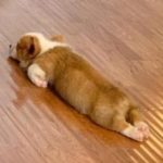 Group logo of KK 投資交易LDS